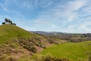The climb to the top of Colmer's Hill at Symondsbury is well worth it for the view!