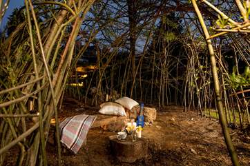 Enjoy some camp singing in the willow hut- please bring your own ukulele