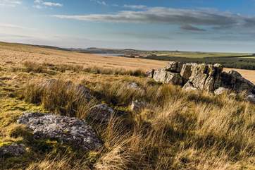 Discover the wide open spaces and intriguing rock formations across Bodmin Moor.