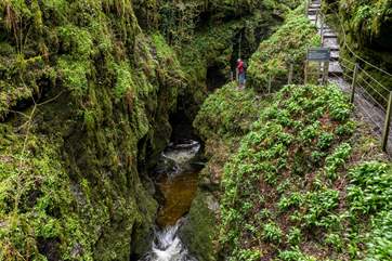 Spectacular Lydford Gorge is worth a visit.