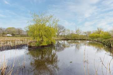 The lake will offer the perfect picnic area for you whilst at Orchard Cottage.