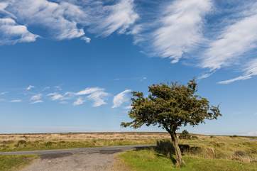 Stunning scenery and abundant wildlife awaits.
