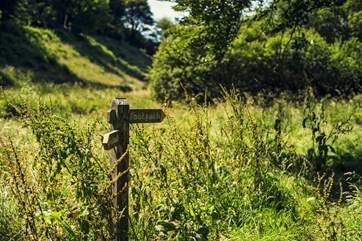 Endless beautiful walks around Exmoor.