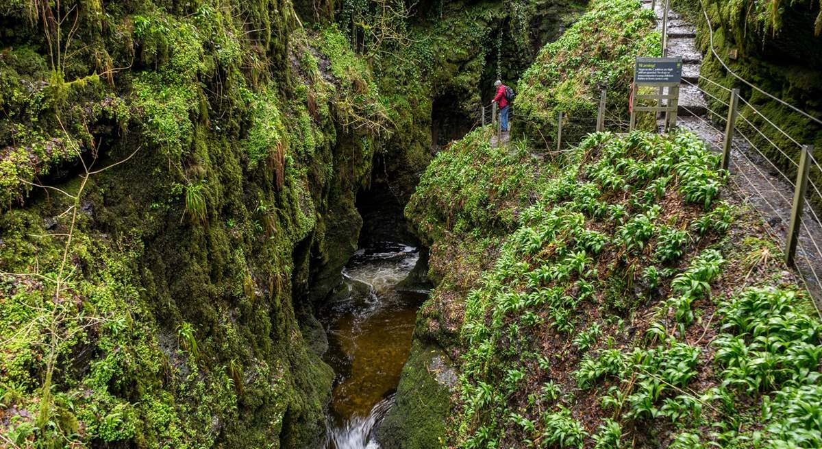 Beautiful Lydford Gorge.