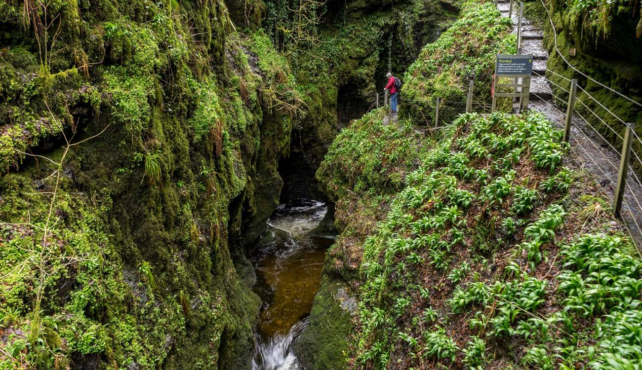 Beautiful Lydford Gorge.