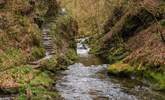 Lydford Gorge waiting to be explored. - Thumbnail Image