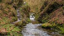 Lydford Gorge waiting to be explored.