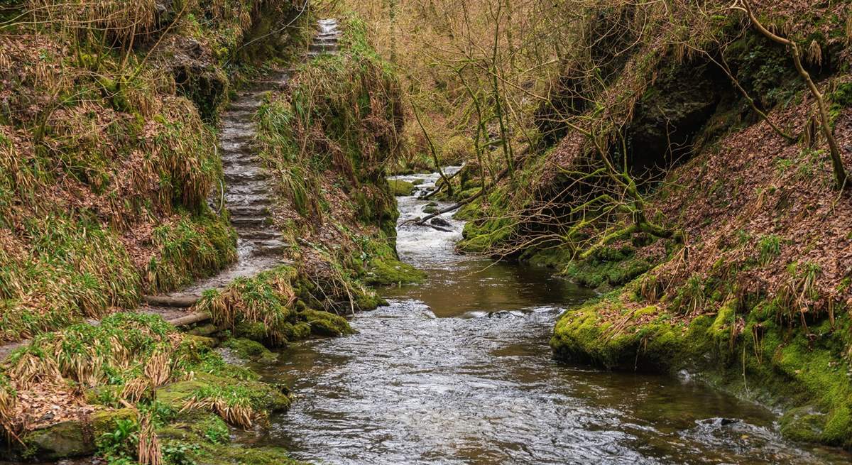 Lydford Gorge waiting to be explored.