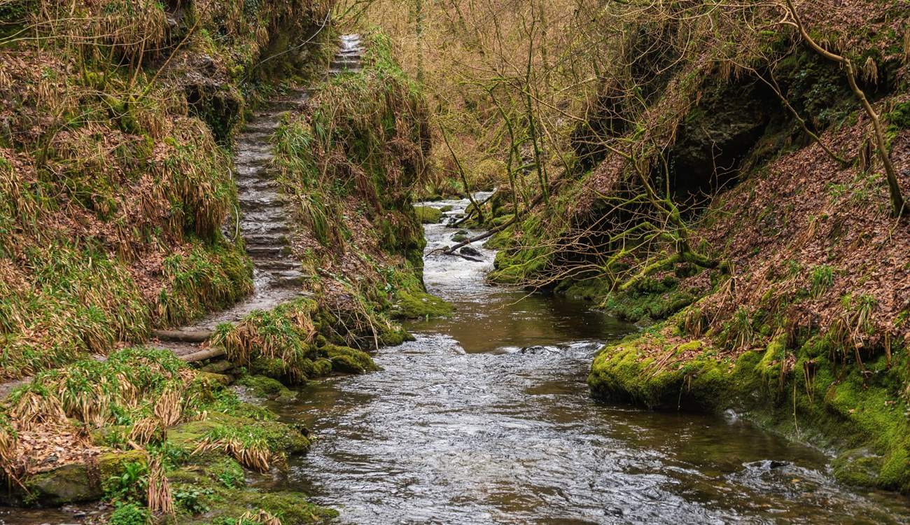 Lydford Gorge waiting to be explored.
