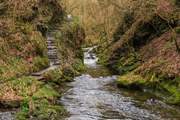 Lydford Gorge waiting to be explored.