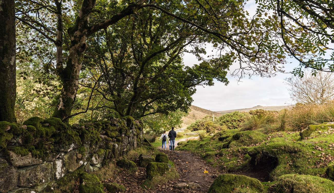 Beautiful walking country.