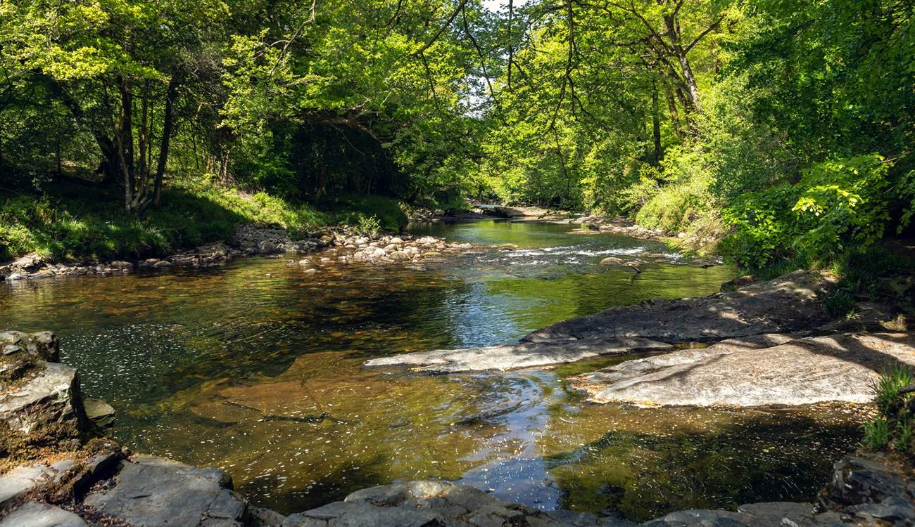 Peaceful and serene, the Dart.