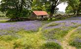 Dartmoor is pretty at any time of year. - Thumbnail Image