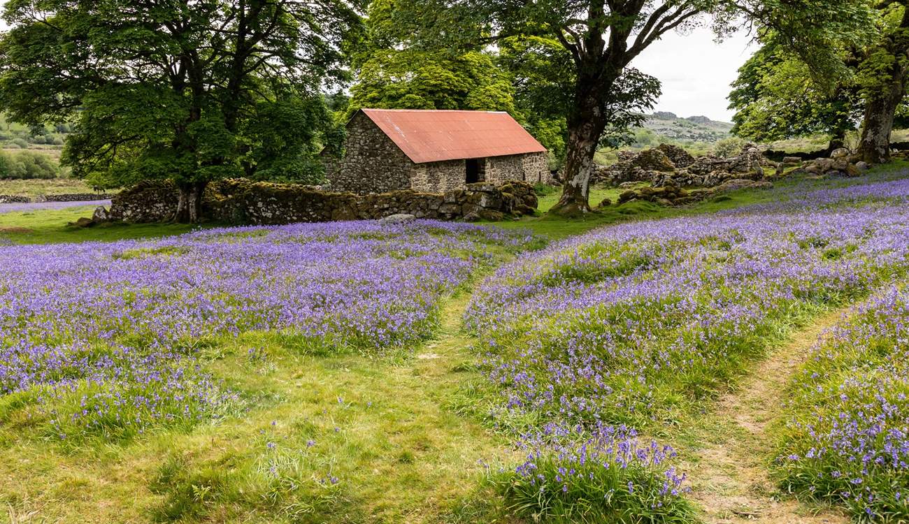 Dartmoor is pretty at any time of year.