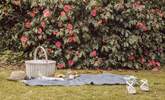 Why not have a family picnic in the garden? - Thumbnail Image