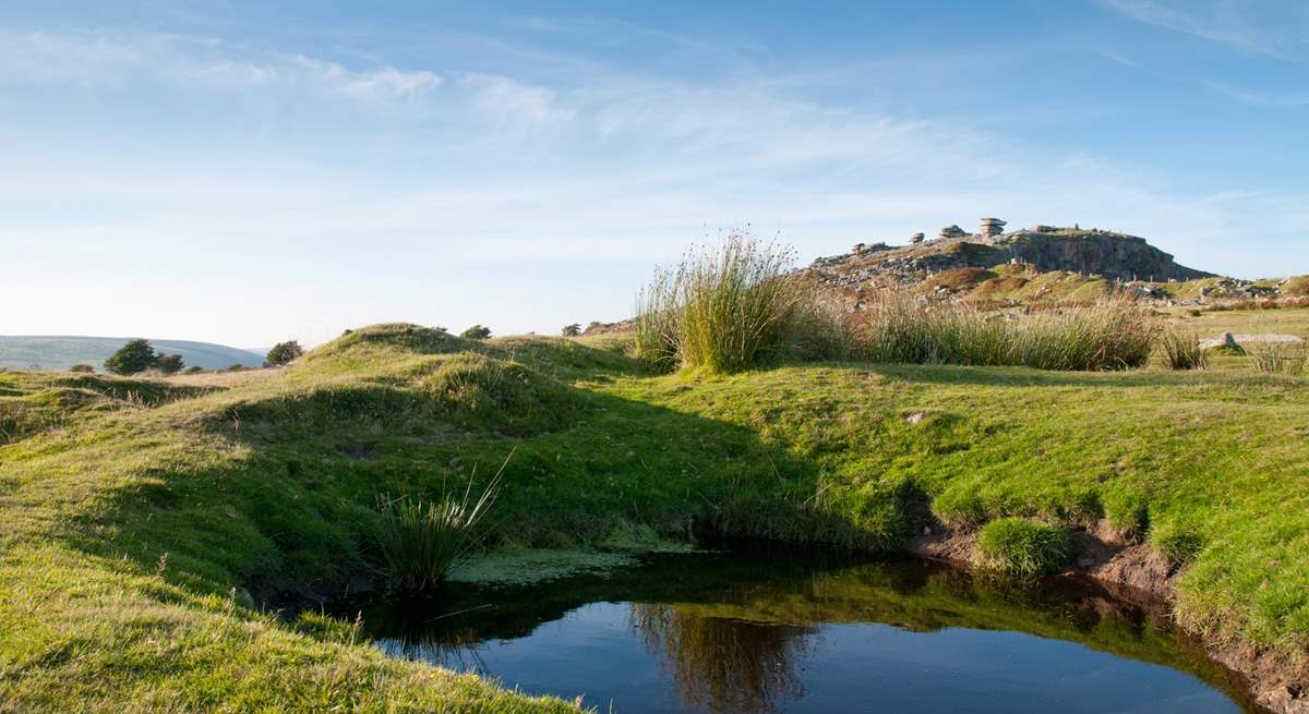 The dramatic open landscapes of Bodmin Moor.