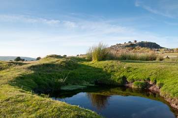 The dramatic open landscapes of Bodmin Moor.