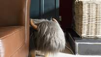 What a fabulous footstool!
