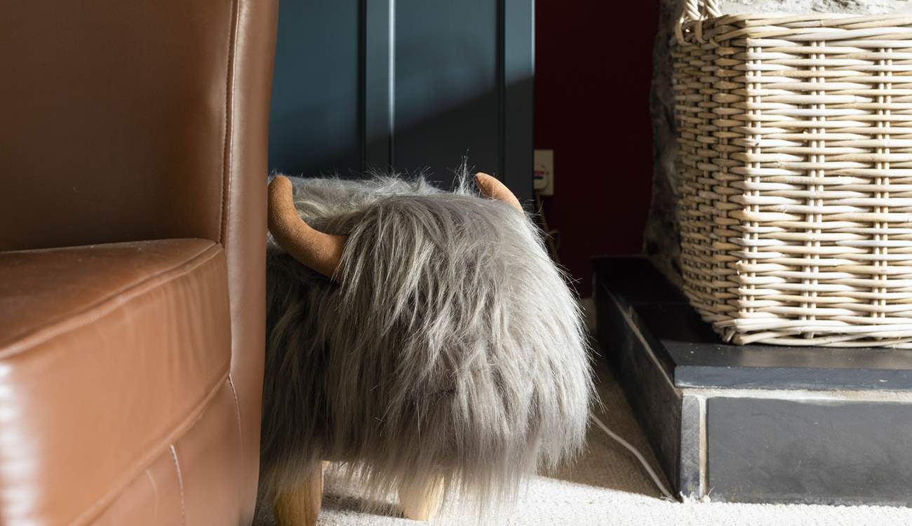 What a fabulous footstool!