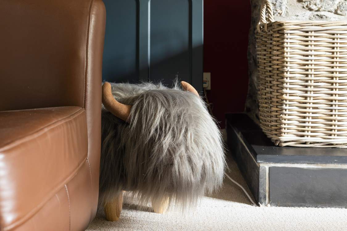 What a fabulous footstool!