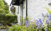 The wild flowers which surround this cottage are super vibrant and colourful. - Thumbnail Image