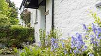 The wild flowers which surround this cottage are super vibrant and colourful.
