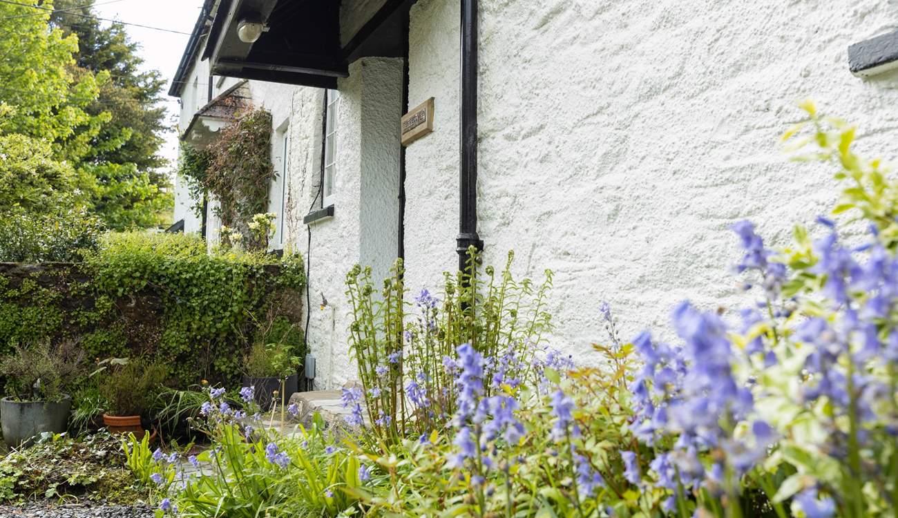 The wild flowers which surround this cottage are super vibrant and colourful.