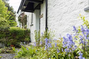 The wild flowers which surround this cottage are super vibrant and colourful.