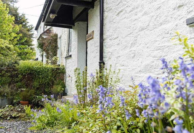 The wild flowers which surround this cottage are super vibrant and colourful.