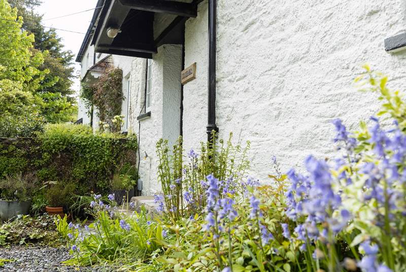 The wild flowers which surround this cottage are super vibrant and colourful.