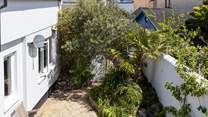 The secluded back garden has a tropical feel with Mediterranean palms and olive trees.