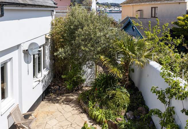 The secluded back garden has a tropical feel with Mediterranean palms and olive trees.
