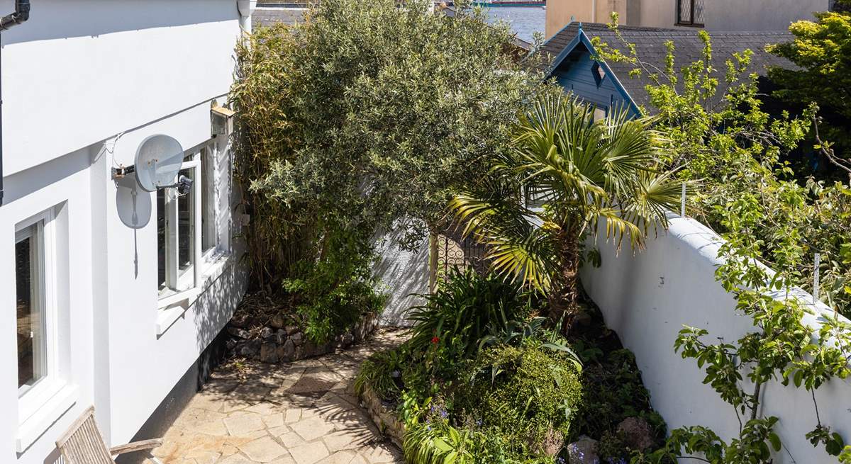 The secluded back garden has a tropical feel with Mediterranean palms and olive trees.