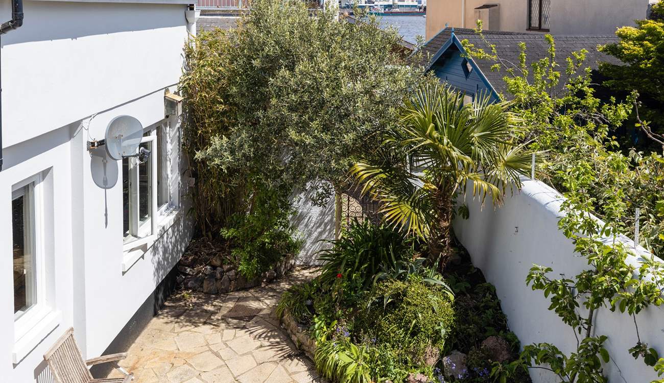 The secluded back garden has a tropical feel with Mediterranean palms and olive trees.