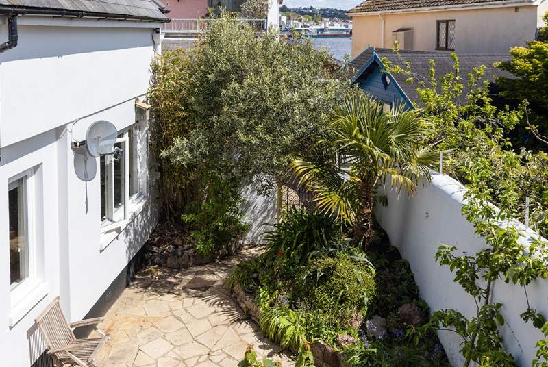 The secluded back garden has a tropical feel with Mediterranean palms and olive trees.