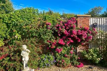 Admire the gorgeous plants which surround the garden.