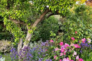 Elmscott boasts a pretty range of colourful plants and flowers which is maintained throughout the year.