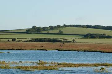 Newtown Creek is situated just outside of Yarmouth. An ideal walking spot to spend on an afternoon.
