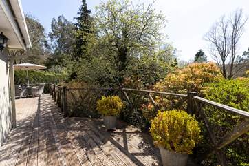 Wildlife spotting will be easy from the wrap-around decking.