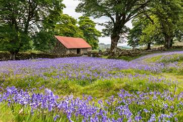 Pretty as a picture Dartmoor.