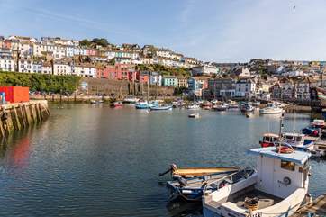 Brixham harbour is a lovely place to explore.