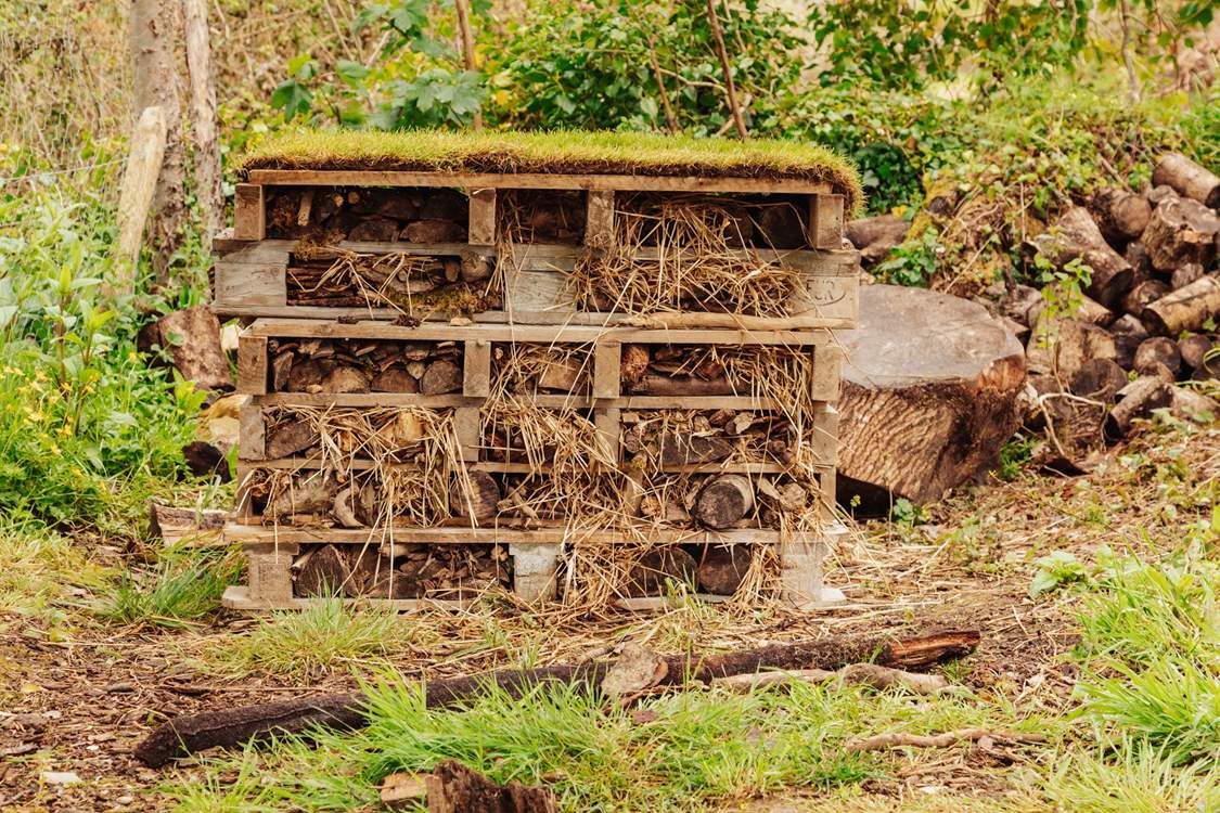 Overlooking the stream there's an adorable bug hotel which the owners’ children have created just for you.