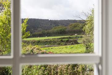 See the neighbours from an upstairs window.