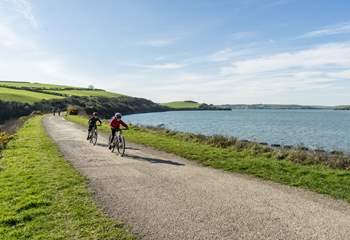 Hire a bike in Padstow or Wadebridge to cycle the Camel Trail.