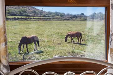You have lovely rural views from