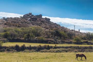 This is your view of Carn Brea castle from the cottage kitchen.