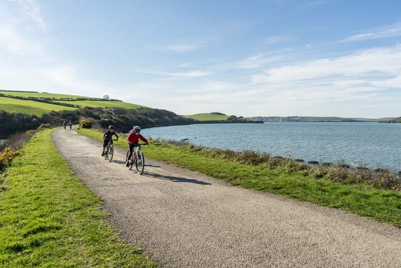 Bring your bikes (or you can hire them when you are here) and cycle from Wadebridge to Padstow.