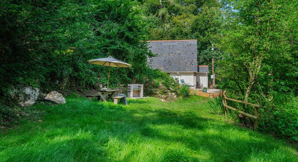 A magical garden at Western Tors!