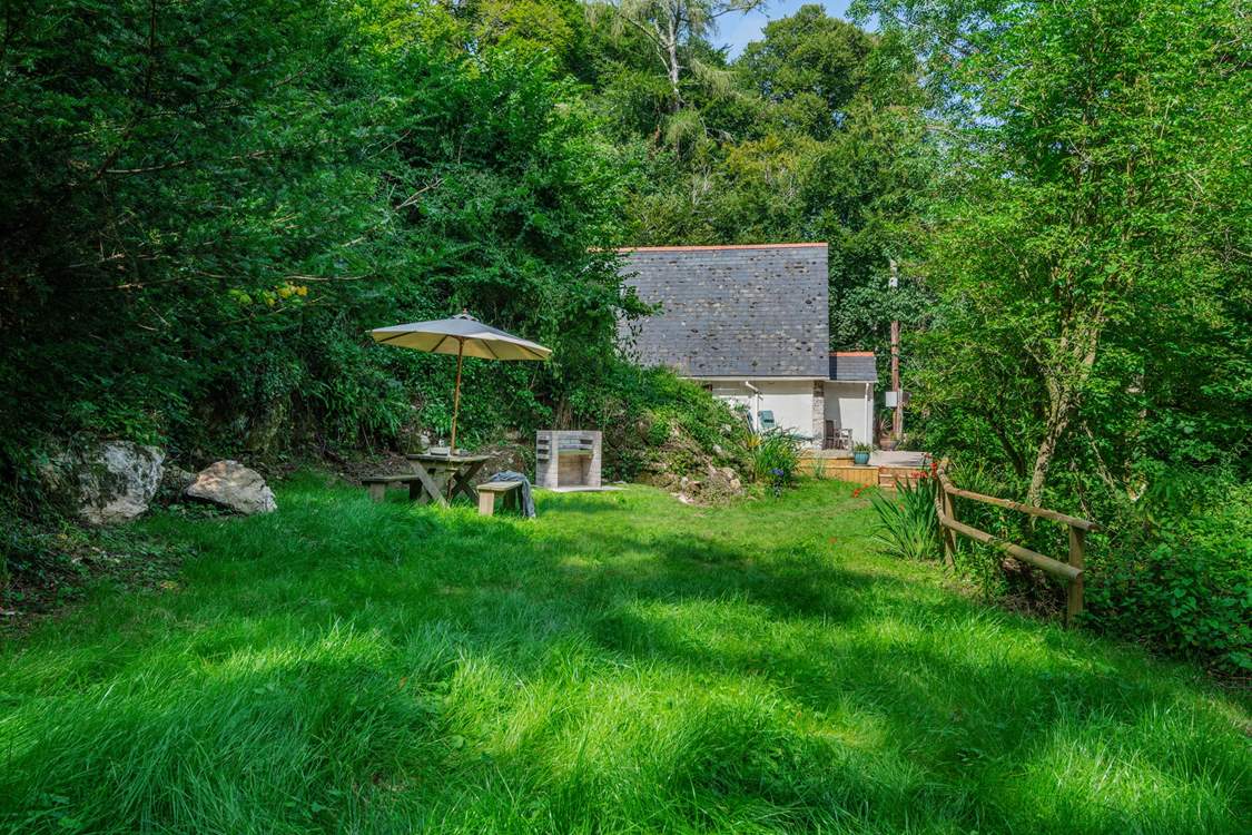 A magical garden at Western Tors!