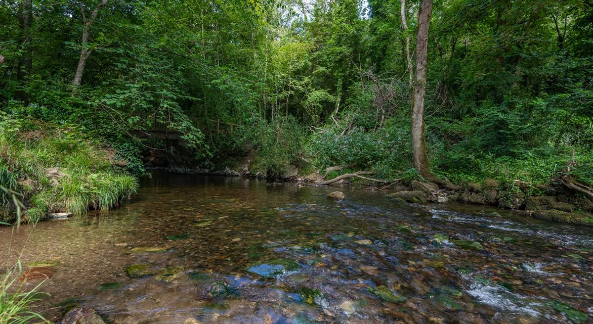 Cool down with a paddle in the crystal clear waters of the river.